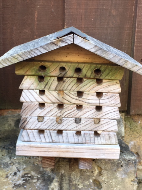bee hotel