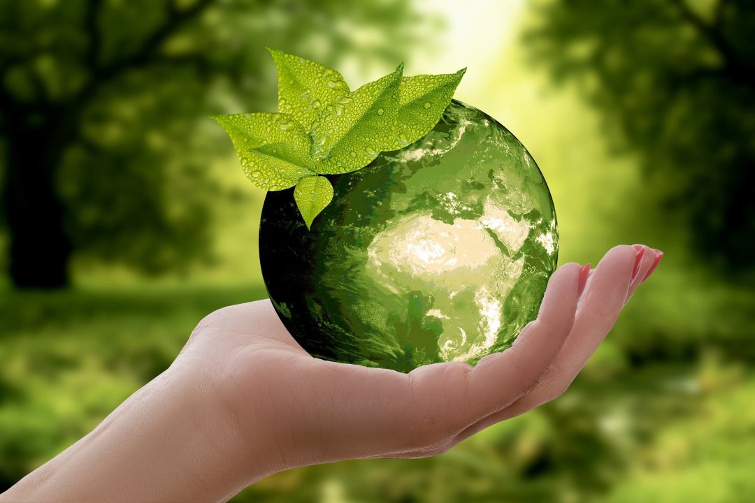 A hand holding a green globe with some leaves on the top