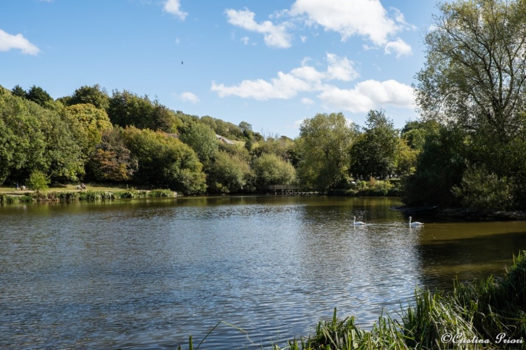 The lake at Capstone Farm Country Park: Autumn colours start to appear